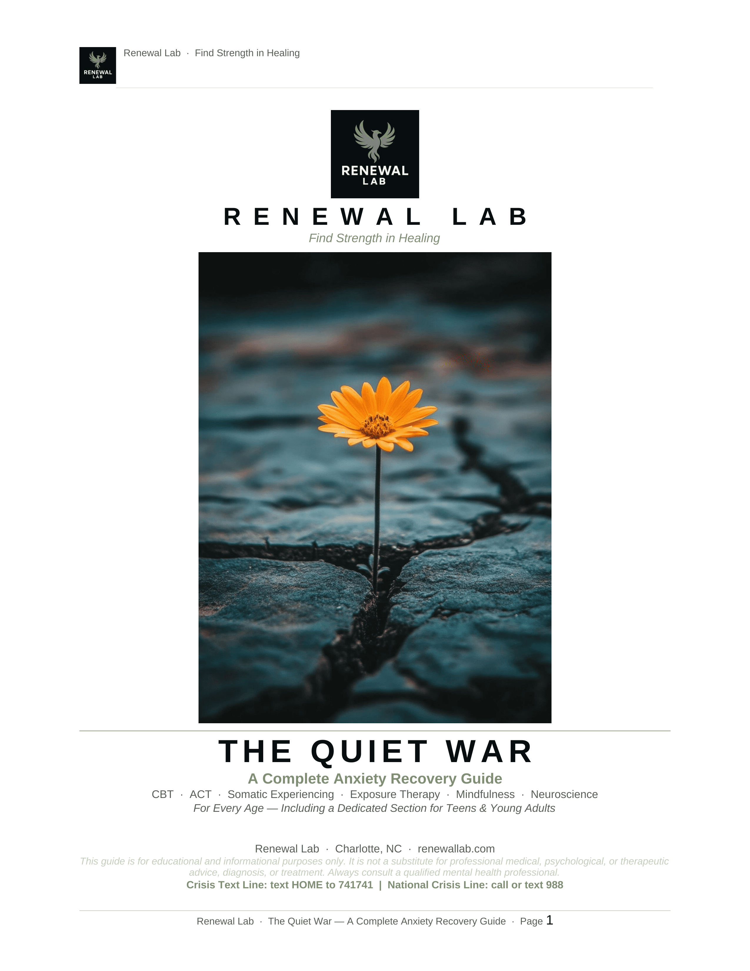 The Quiet War — A Complete Anxiety Recovery Guide